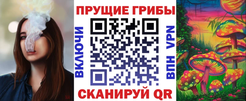 OMG маркетплейс  Калининец  Псилоцибиновые грибы Cubensis 